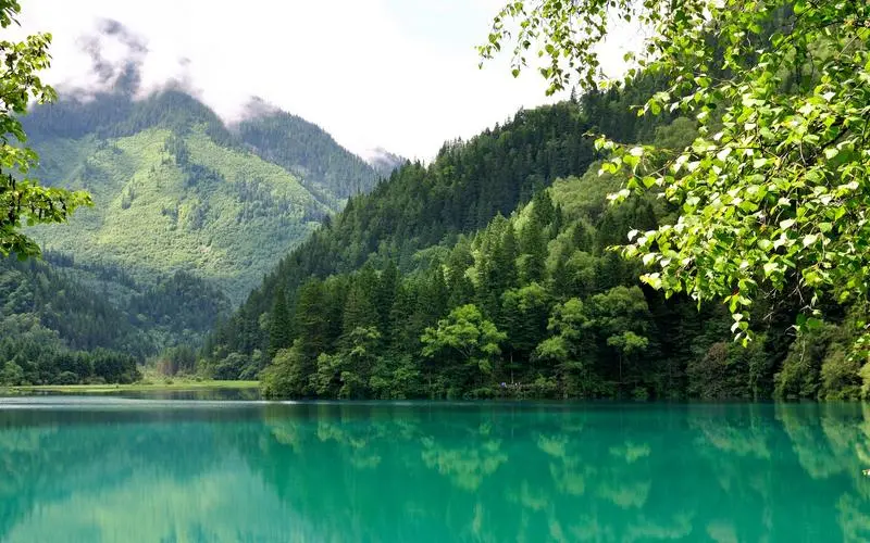 高精度高性能